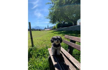 Haus Anna - Photo 22