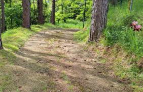 Casa del toni - Foto 11