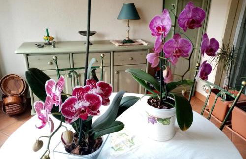 Holiday Maison Villa Arci - Foto 54