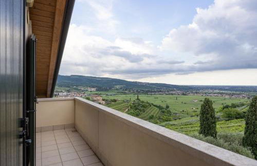 Zardo Winery - Foto 29