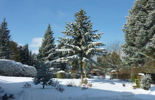 Ferienwohnung Orchidee - Foto 28