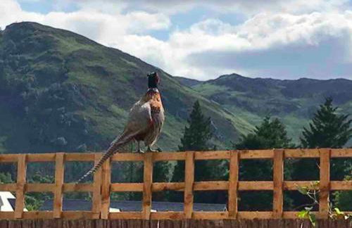 The Bothy - your unique luxury refuge - Photo 24