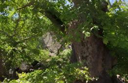 Aegean Serenity - Sea View Retreat - Foto 43