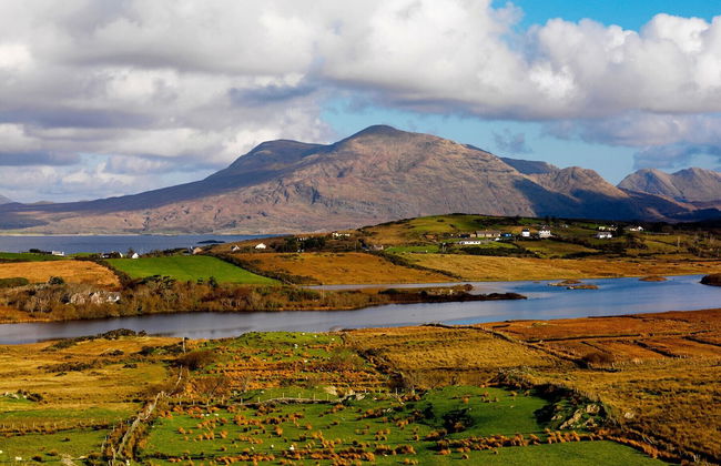 Galway Bay Lodge - Photo 25