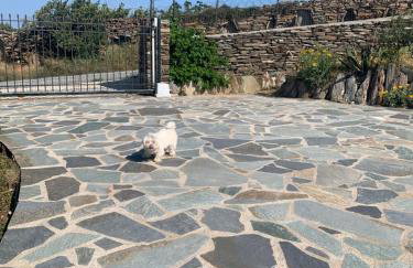 ΠΕΤΡΙΝΟ στην Άνδρο - Foto 11