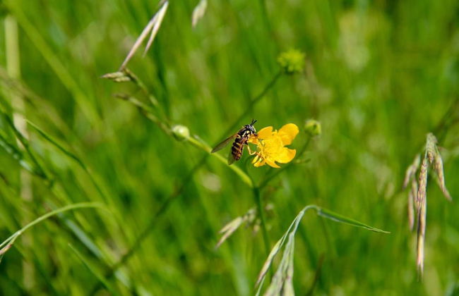 Agriturismo Palazzo Minelli - Foto 39