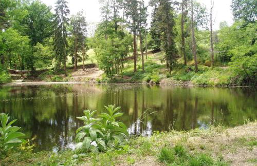 Gîte cosy pour 2 avec jardin et cheminée à Montbrison - FR-1-496-158 - Foto 20