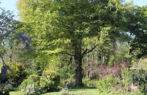 Unique Thatched Retreat near Salcombe and Beaches - Foto 19