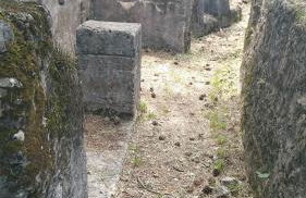 Residence Stradella Verde - Photo 38