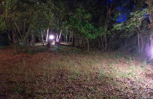 casa con bosco e vista mare - Foto 22