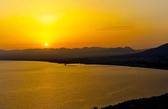 Diotima's Homes - Photo 29