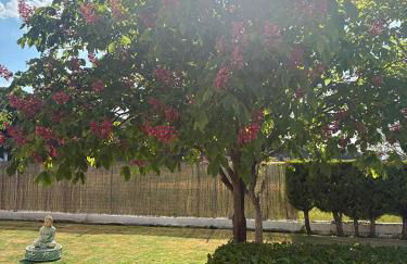 Villa La Espiga - Photo 22