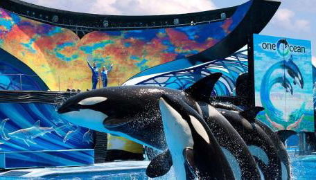 Private pool with a beautiful view overlooking the lake! Near Disney - Universal - Foto 5