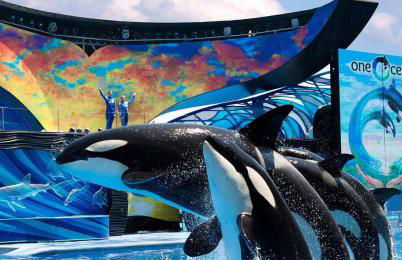 Private pool with a beautiful view overlooking the lake! Near Disney - Universal - Foto 5