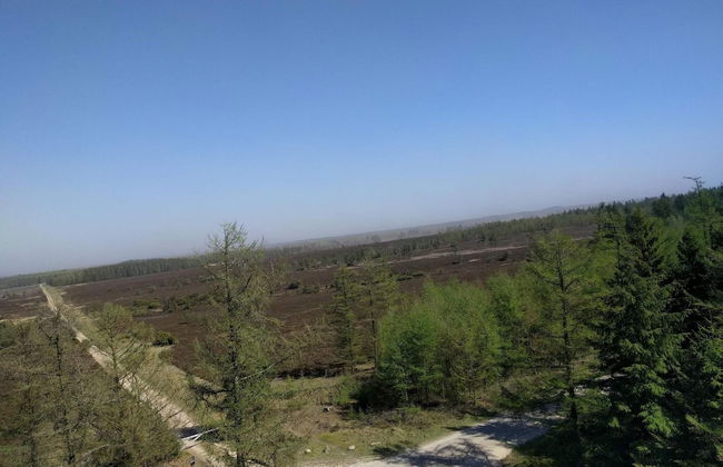 4 Star Holiday Home in Hovborg - Foto 6