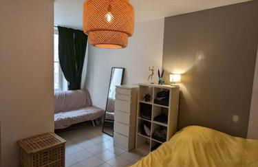 Mirador T2 ensoleillé place des Terreaux vue Fourvière - Foto 11