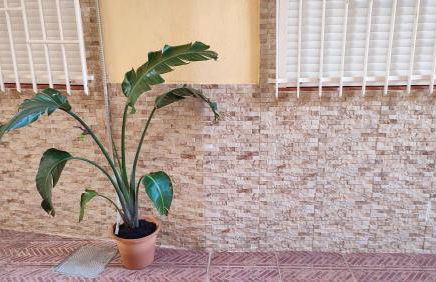 El Faro - Beach - Photo 29