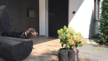 Artgerecht Vintage - Foto 5