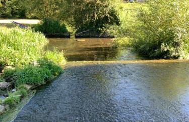 Hertford farm Woodland cabin pet friendly firepit bbq - Foto 48