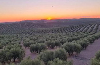Elegant House with Pool in Alcaudete - Foto 9