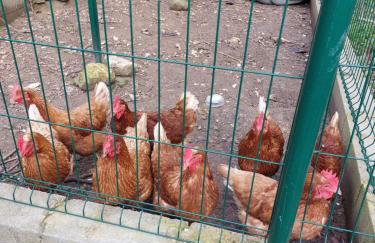 villa spacieuse piscine jacuzzi 8 chambres 16 couchages - Foto 8