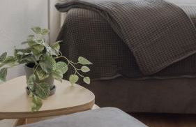 *NEU*Family&Work*WLAN*Ntflx*Cozy*Zentrum*TopLage - Foto 12