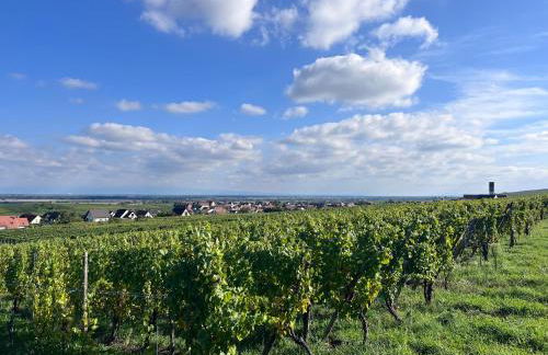 Le Clos Des Vignes - Charme au cœur du vignoble - Foto 23