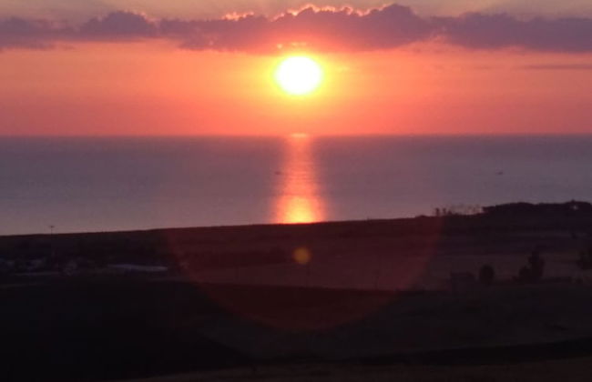 Oca Giuliva - Foto 36