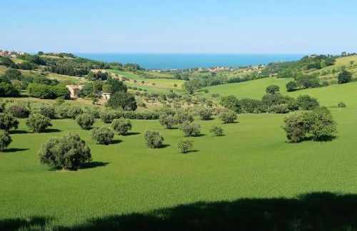 Terra da mare - Foto 43