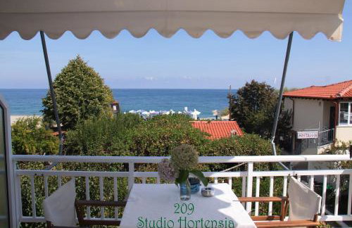 Fasoli Studios - Foto 40