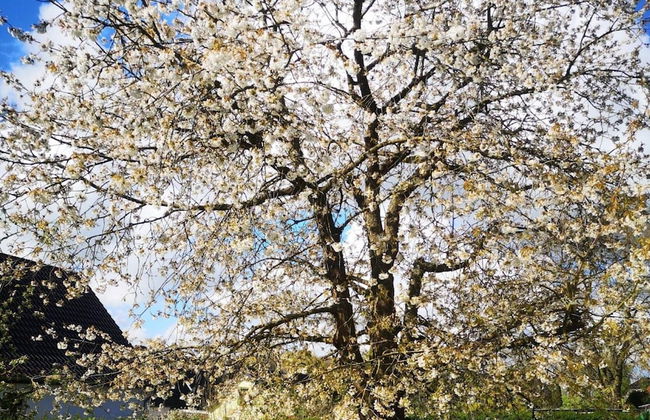 Gustow Garden Retreat - Foto 22