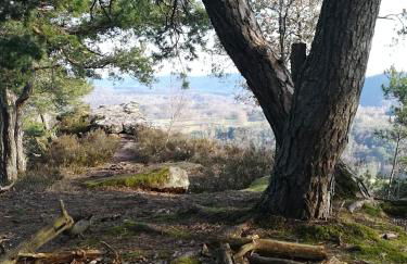 Luise Im Künstlerhaus - Foto 21