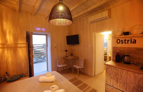 Maistrali Studio Ostria - Photo 24