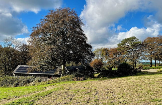 Cambrian Cottages - Foto 66