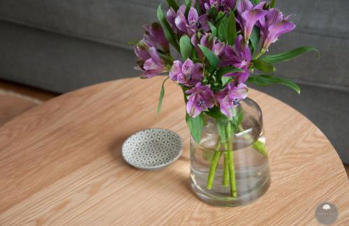 Noorden Stuuv - Foto 10