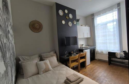 LeRelaisdOdile - Suite Studios Confort - Idéal PRO & Couple - LILLE VAUBAN - Foto 48