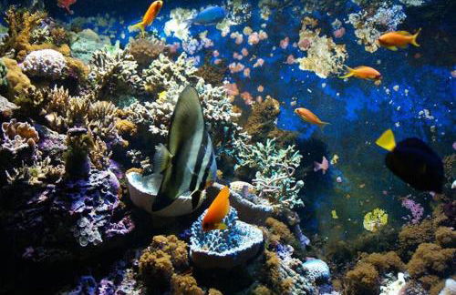 Appartement 2 pièces + cabine, 6 couchages - Foto 16