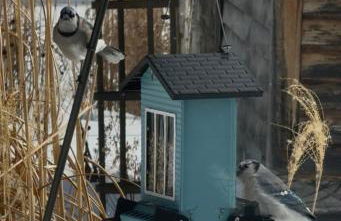 The Tannery House - Foto 13