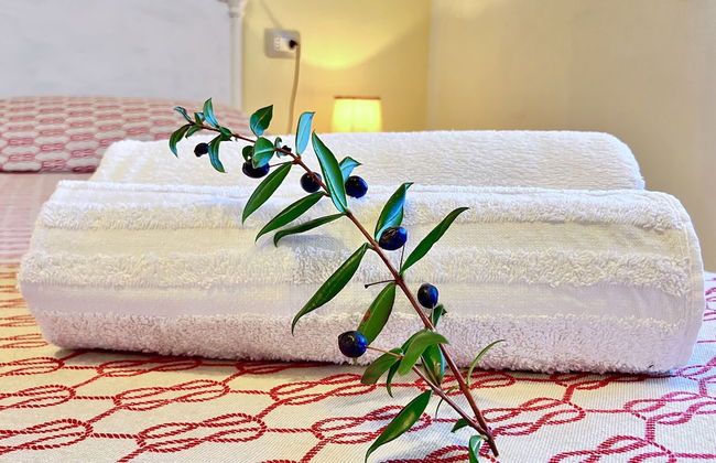 Apartment in Villa With Garden Close to the sea - Foto 9