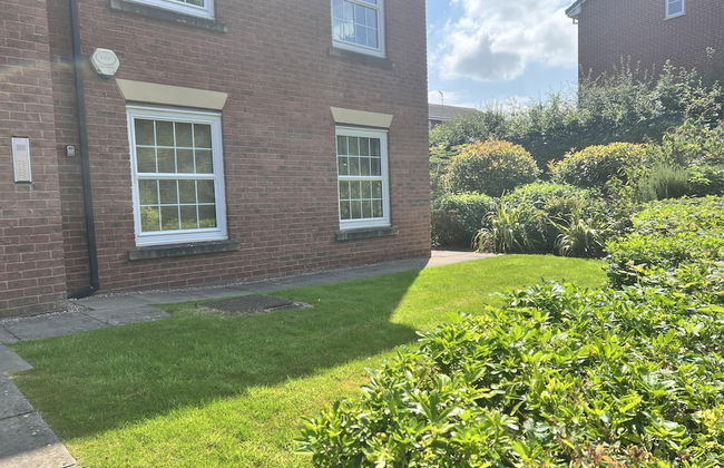 Nantwich - Sleeps 4 - Parking - Town 10mins Walk - Photo 16