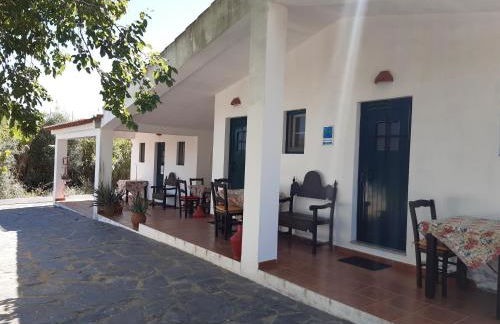 Horta do Muro - Foto 10