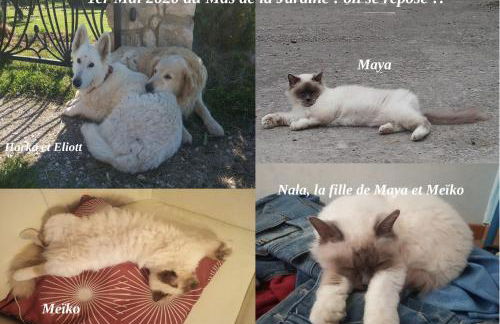 le Mas de la Jardine - Foto 67