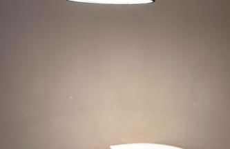 Apartamento Gibaja - Foto 14