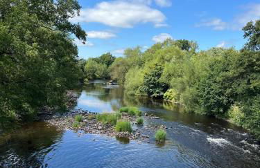 Ty Sycamore - Photo 10