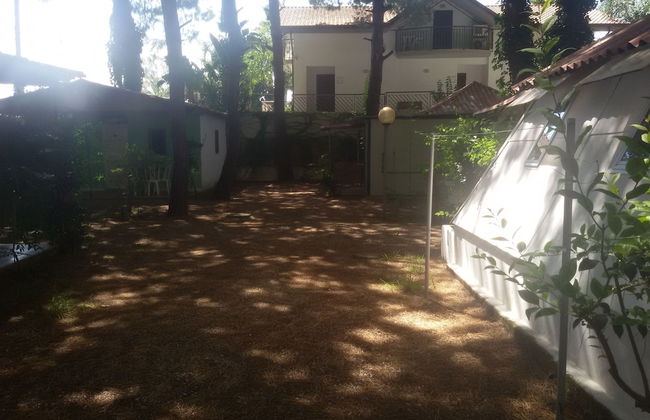 Parco delle Viole - Foto 36