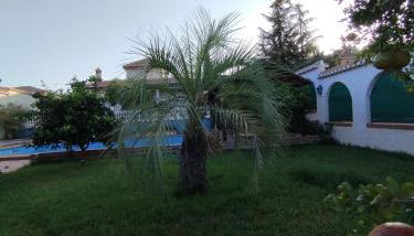 VillaFilomena - Foto 5, Garden