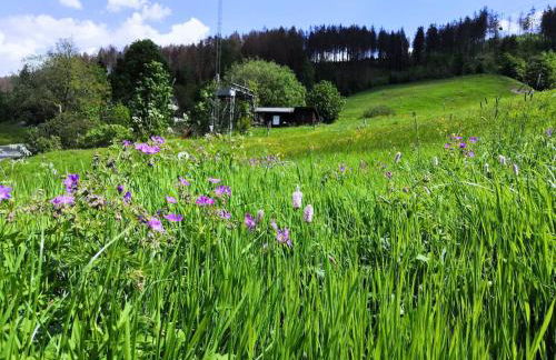 Ferienwohnung Mühlenteich by Hoheisel, Zaubernuss, Parken, Wanderstart, WLAN - Foto 28