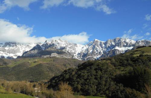 Apartamentos Samelar - Foto 24