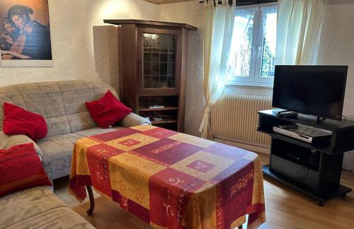 IFAM - Ihr Ferienhaus am Main - Foto 3