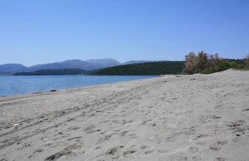 Jassemi Studio - Foto 24